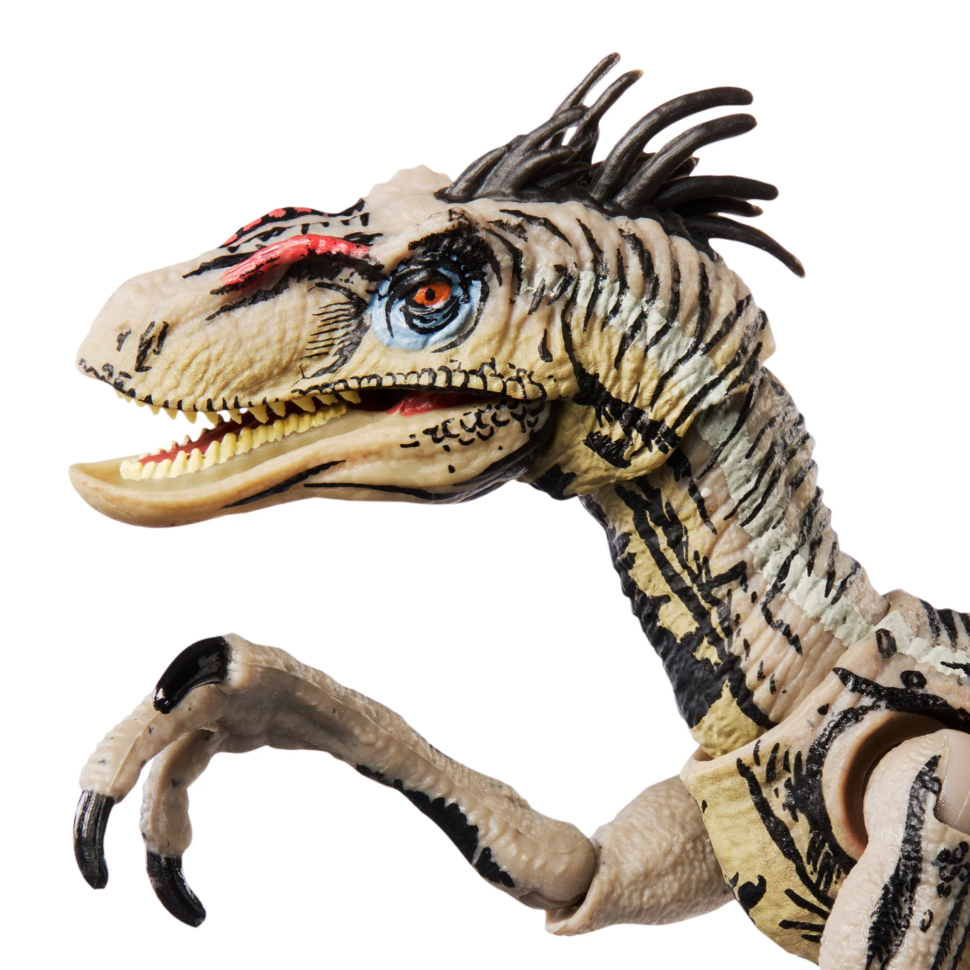 Jurassic World Hammond Collection 25th Anniversary Comic-Style Velociraptor - Image 5